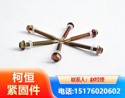 雅安六角钻尾丝